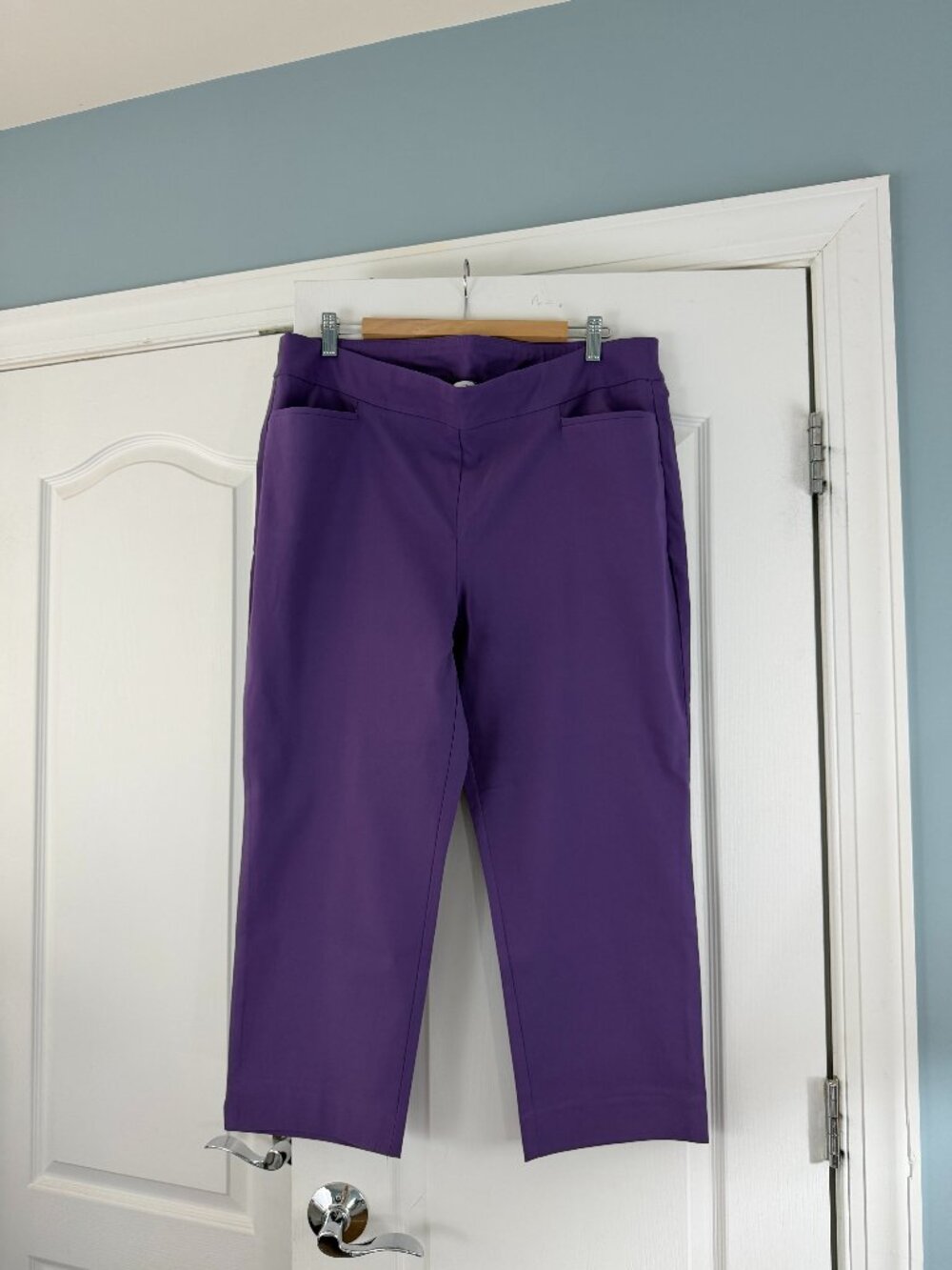 Chico's Pants Size 3 (16) Purple 3048